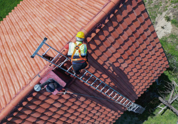 Best Roof Moss and Algae Removal  in Mancelona, MI